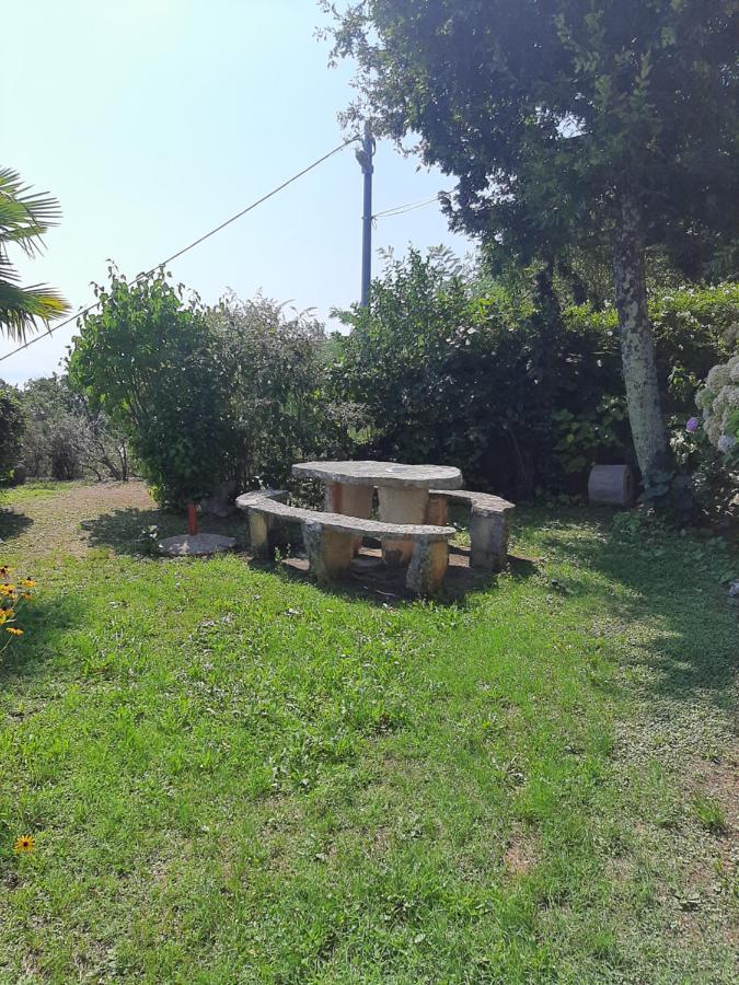 فيلا House H-Elios لوفغان المظهر الخارجي الصورة